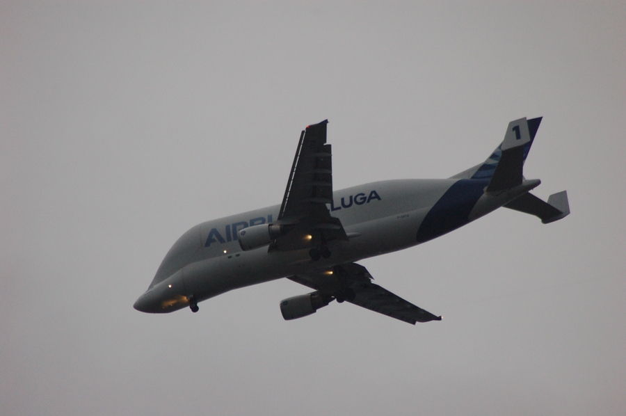Pic /JPG/Airbus/A300/A300-608ST Baluga/F-GSTA//DSC_6324.JPG